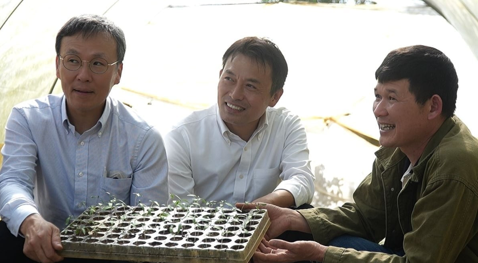 JICA project helps Son La farmers boost safe vegetable production